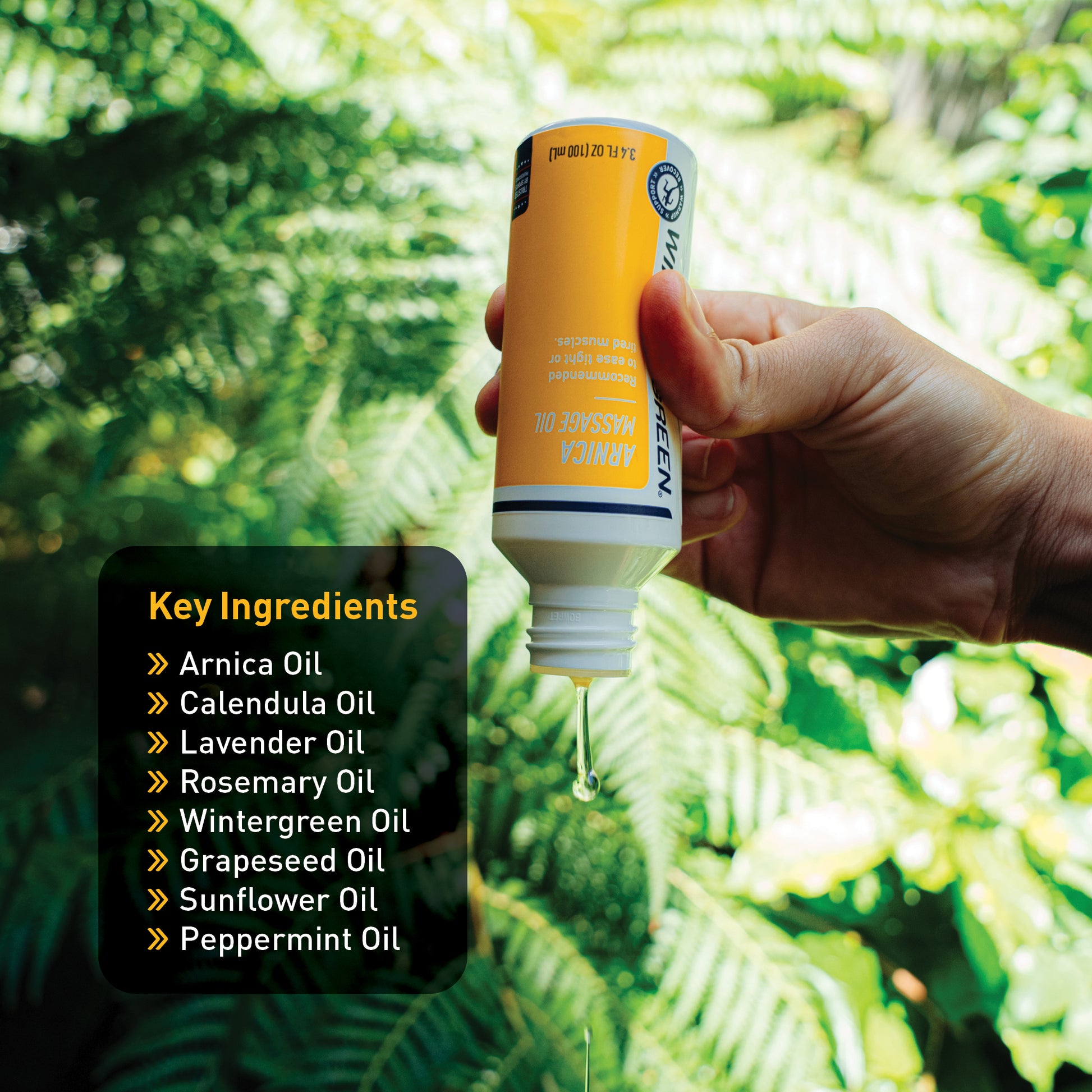 Hand holding Wintergreen Arnica Massage Oil with a green leafy background and key ingredients listed.